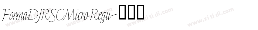 FormaDJRSCMicro Regu字体转换